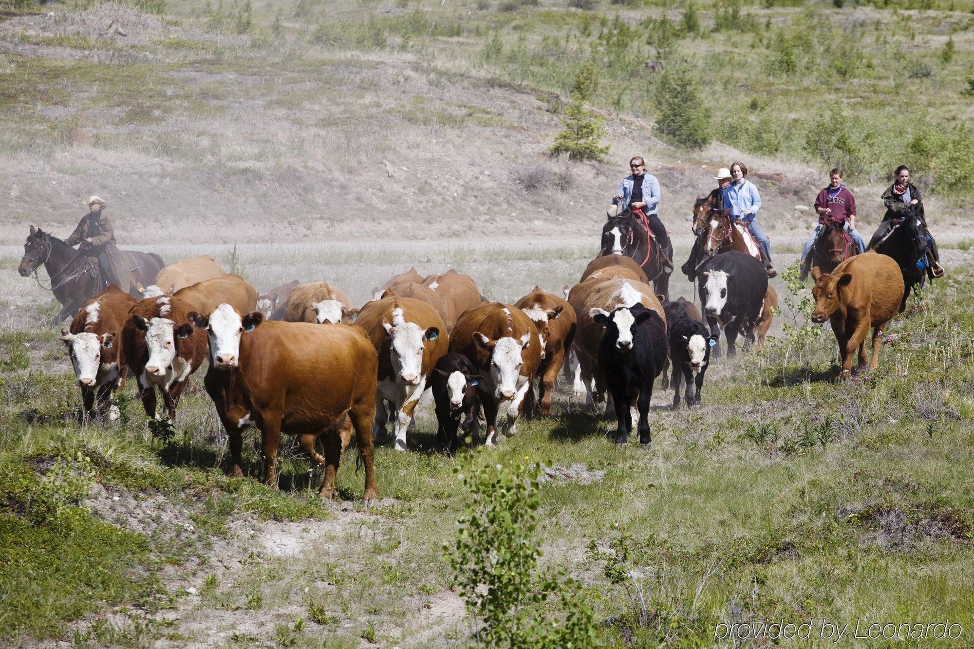 Echo Valley Ranch And Spa Clinton Buitenkant foto