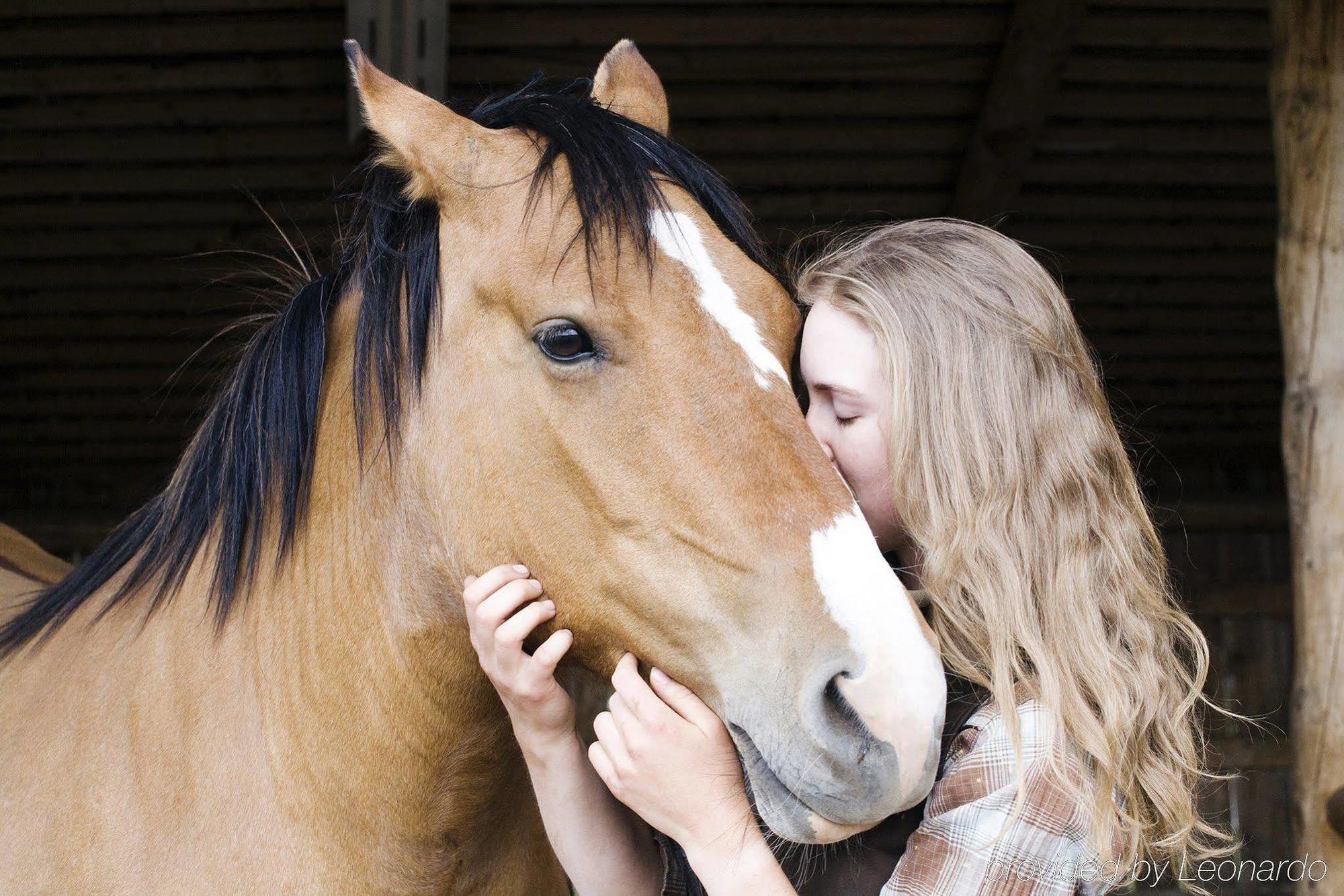 Echo Valley Ranch And Spa Clinton Buitenkant foto